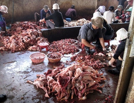  Phát hiện nhiều vụ vi phạm về lưu trữ, sản xuất thực phẩm